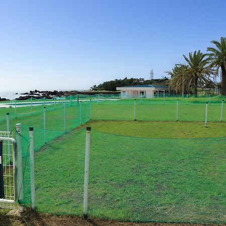 Shirahama Ocean Resort Chiba Eksteriør bilde